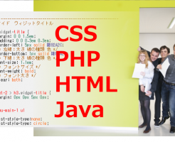 wordpressでCSS,PHP,HTML,JavaScriptのエディタープラグイン：Advanced Code Editor